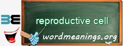 WordMeaning blackboard for reproductive cell